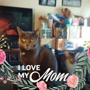 Meet your Posher, Vickie